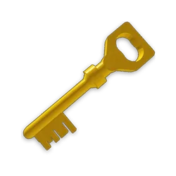 Mystery Key MM2 item